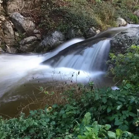 D'hôtes - Mulino Nannaré Maison d'hôtes Ville-di-Paraso
