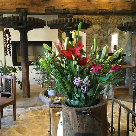 D'hôtes - Mulino Nannaré Maison d'hôtes