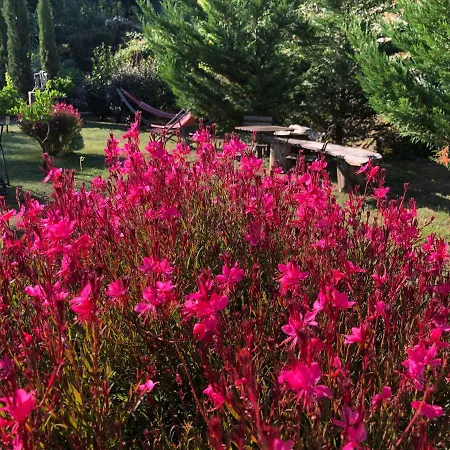 Maison d'hôtes D'hôtes - Mulino Nannaré