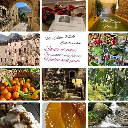 Maison d'hôtes D'hôtes - Mulino Nannaré Ville-di-Paraso