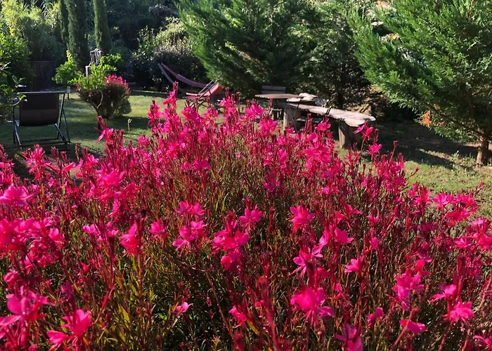 招待所 D'hotes - Mulino Nannare